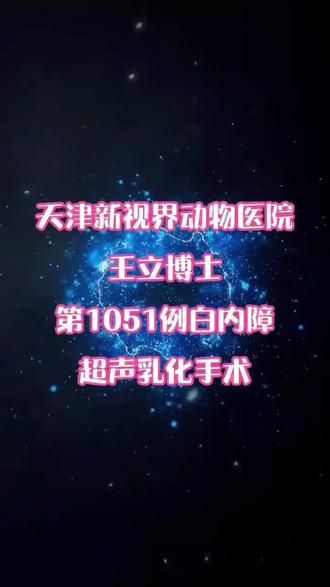 #宠物眼科医生王立博士 #新视界动物医院 #狗白内障