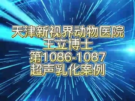 #宠物眼科医生王立博士 #天津新视界动物医院 #狗白内障