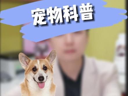 #宠物眼科医生王立博士 #新视界动物医院 #宠物眼科 #狗白内障