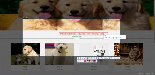 请添加图片描述