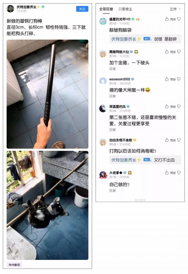 成都某大学研究生肢解、虐杀成瘾，只因自己有病不去治？