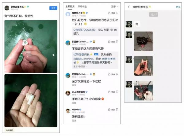 成都某大学研究生肢解、虐杀成瘾，只因自己有病不去治？