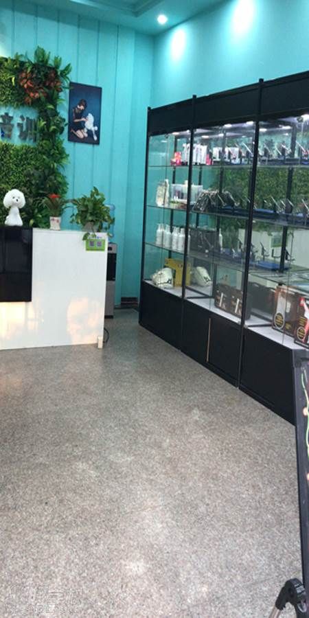 蒂芙尼高端宠美培训学校教学环境