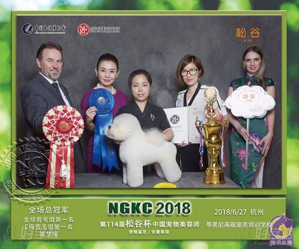 蒂芙尼高端宠美培训学校学校荣誉