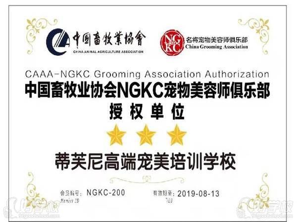 蒂芙尼高端宠美培训学校学校荣誉