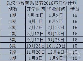 武汉派多格