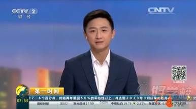 武汉派多格