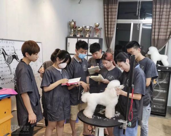 教学场景