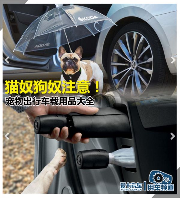 宠物用品