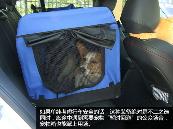 宠物行车用品