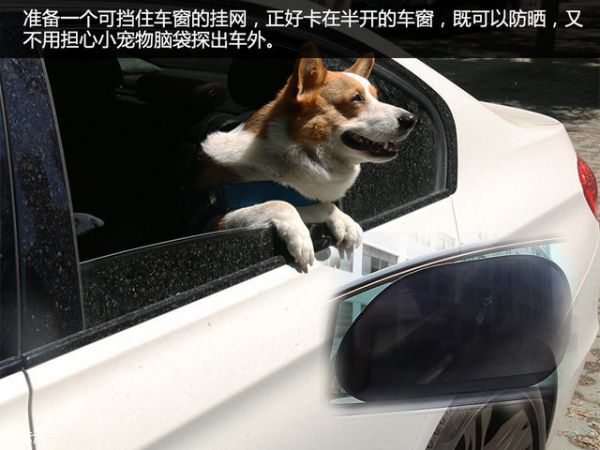宠物行车用品
