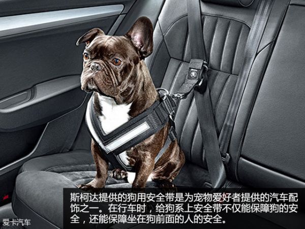 宠物行车用品