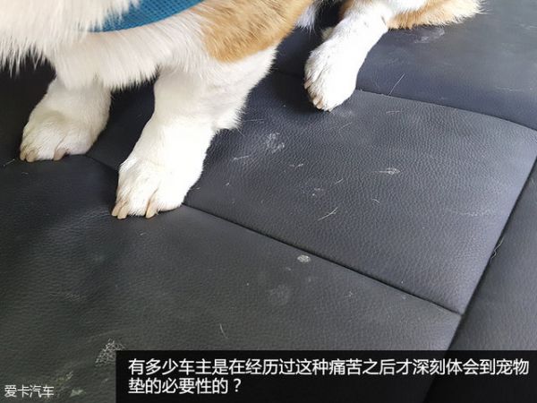 宠物行车用品