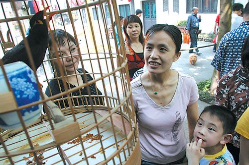 赛鸟:画眉卫冕歌王 散打:女子掀翻壮汉