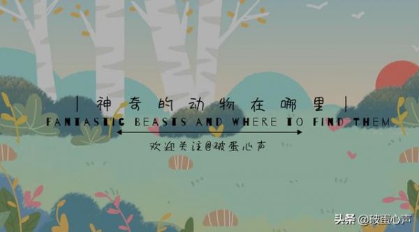 文章图片1