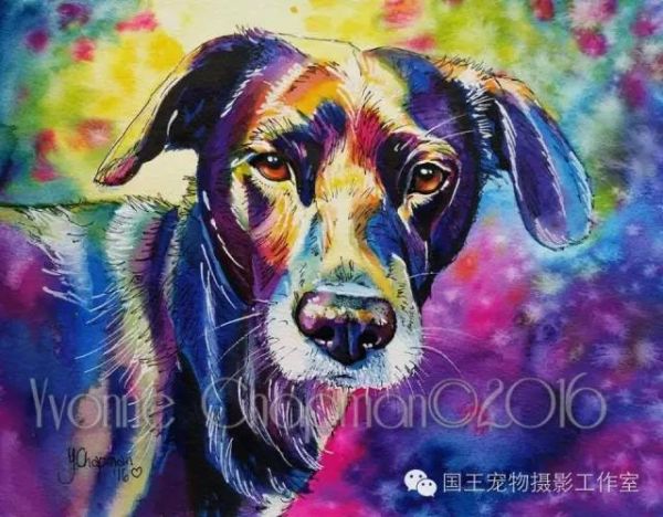 AI绘画在宠物创作中的应用：探索宠物形象、情感与艺术的完美融合