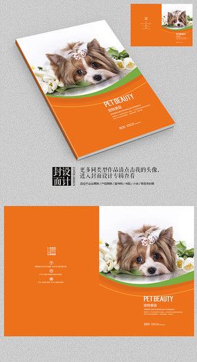 全方位宠物画册攻略：收录热门宠物绘画教程与精选作品集锦