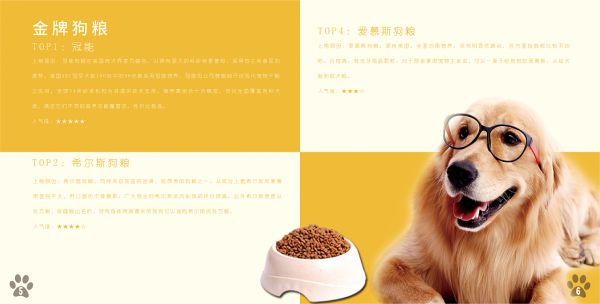 全方位宠物画册攻略：收录热门宠物绘画教程与精选作品集锦