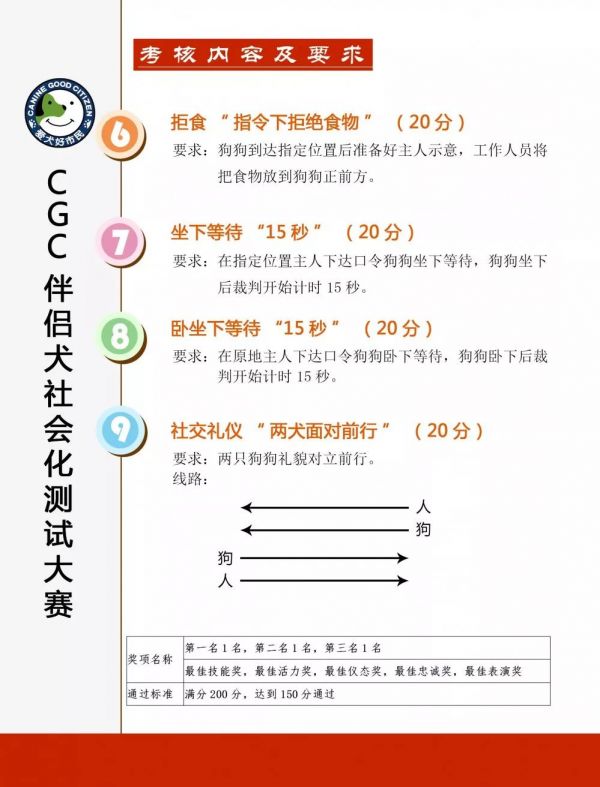 河北宠物美容学校.jpg
