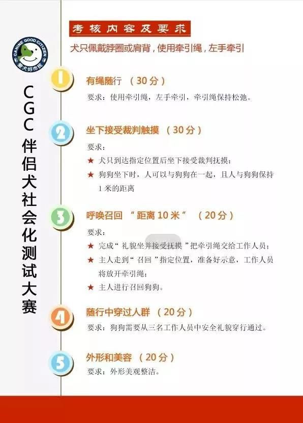 石家庄宠物美容培训.jpg