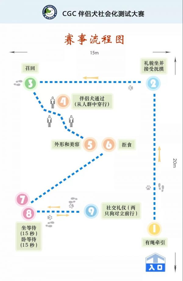 石家庄宠物美容学校.jpg