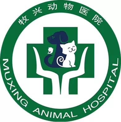 宠物美容培训学校.jpg