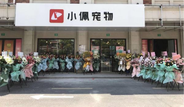 宠物美容行业前景,宠物美容行业前景无限
