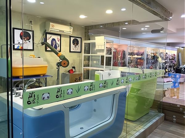 创业加盟,宠物美容店前景无可限量!