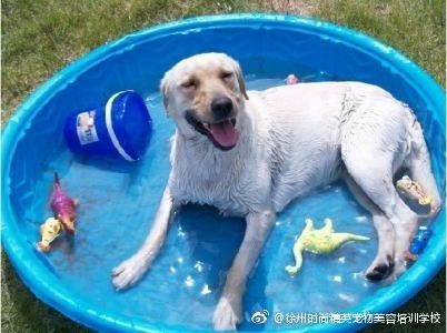 图片来自网络