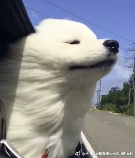 图片来自网络