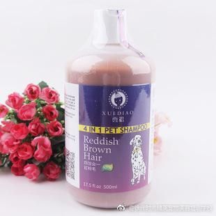 图片来自网络