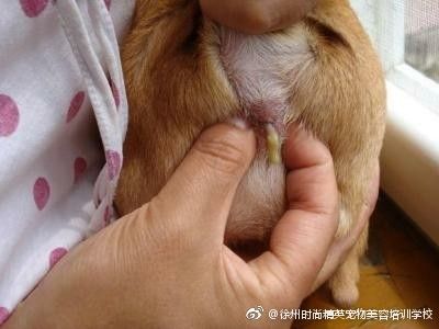 图片来自网络