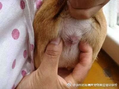 图片来自网络
