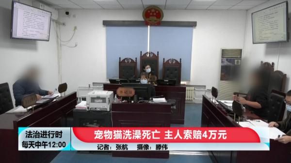 花600元给猫洗澡+SPA，然后猫死了