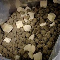 三文鱼猫粮