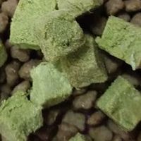 猫草粒