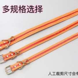 宠物用品批发宠物项圈宠物狗脖套 狗狗可调节项圈宠物牵引颈圈