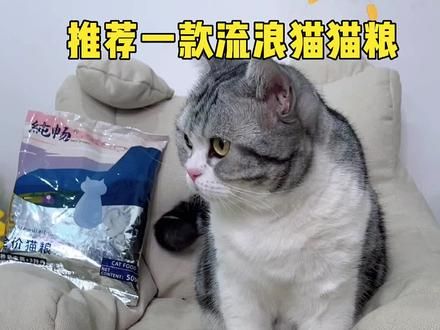 预算有限的可以考虑这款平价猫粮#流浪猫 #流浪猫猫粮 #猫粮推荐