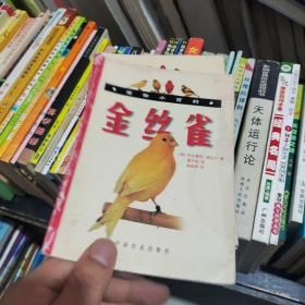 金丝雀(宠物小百科)