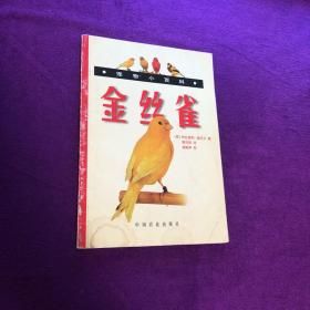 金丝雀(宠物小百科)