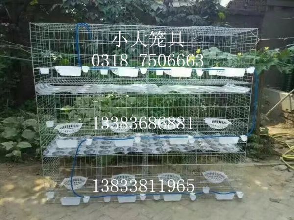 点击查看原图