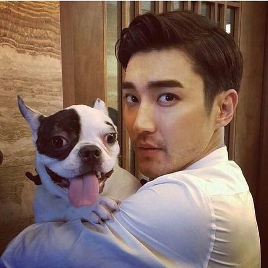 崔始源与爱犬bugsy