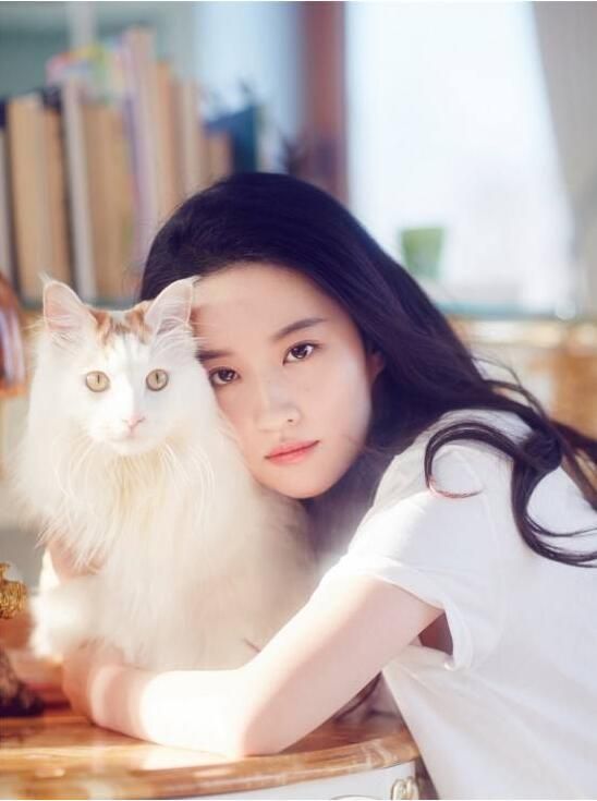 看看明星们的宠物大世界、猫、狗称霸娱乐圈里的宠物界喽！