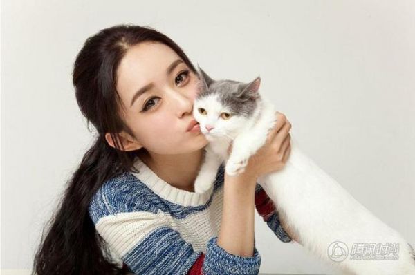 看看明星们的宠物大世界、猫、狗称霸娱乐圈里的宠物界喽！