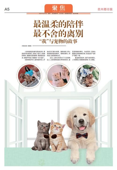 全面攻略：AI治愈系宠物文案撰写技巧与创意灵感集锦