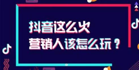 抖音宠物博主如何怎么变现：宠物号赚钱攻略详解