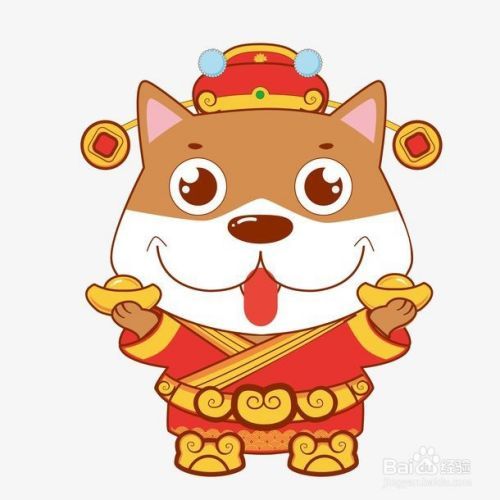 宠物店寄养好吗安全吗