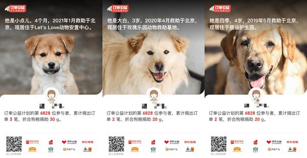 京东金融订单公益，给流浪狗一份“饱饱的爱”