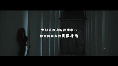 京东金融订单公益，给流浪狗一份“饱饱的爱”