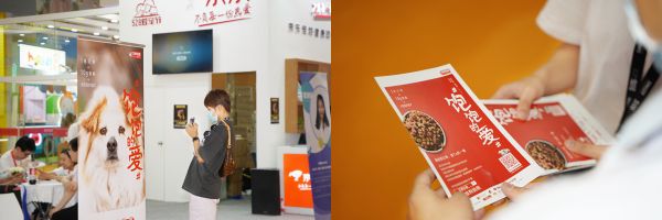 京东金融订单公益，给流浪狗一份“饱饱的爱”